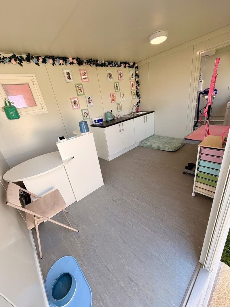Inside the grooming salon: white cabinets, grooming table with a pink grooming arm, pastel storage drawers and framed prints